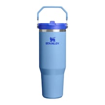 The Iceflow Flip Straw Tumbler Blue Sky - 890 Ml Çok Renkli