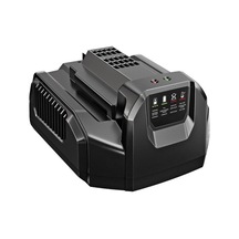 Ego Ch2100e 210w Standart Şarj Cihazı