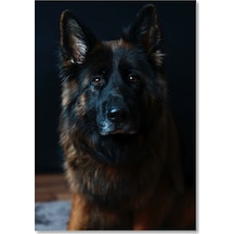 Cakasepetim Kahverengi Siyah K 9 Ahşap Mdf Tablo