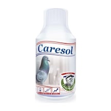 Caresol Enerji 500 Ml