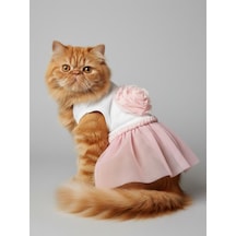 Rosie Pink Tütü Kedi Kıyafeti Pembe Tütülü Elbise Kediler İçin