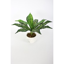 Uzun Yapraklı Yapay Bitki 42 Cm Model-9