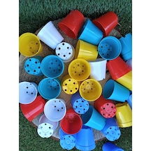 Kaktüs Üretim Saksısı 5,5X5 Cm Karışık Renkli Sukulent Saksısı