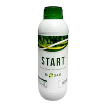 1 L