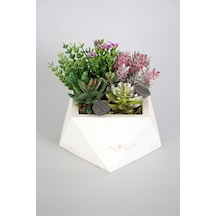 Yapay Çiçek Deposu Beton Saksida Yapay Succulent Bahçesi