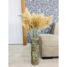 Ayrex 30cm Ayrex 30cm Genel