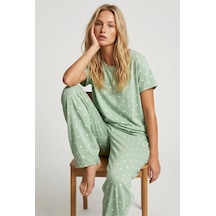 Mint Yeşili