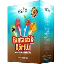 Esila Fantastik Dörtlü Yaz Çayı 90 G