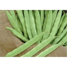 Kılçıksız Yediveren Fasulye Tohumu Fasulye Tohumu 15 Tohum+