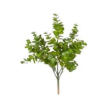 Yapay Bitki Okaliptus Koyu Yeşil 40 Cm. Çok Renkli