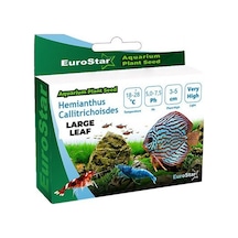 Eurostar Bitki Tohum Large