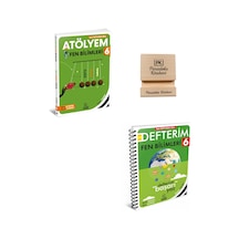 Arı 6. Sınıf Fen Bilimleri Atölyem Ve Defterim + Telefon Standı