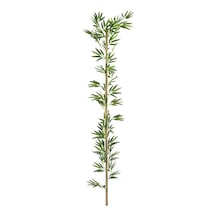 Cihan Çiçekçilik Bambu Çubuk 150 Cm Yeşil