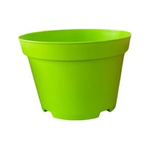 Katı Plastik Sukulent Saksısı 20 Adet Yeşil 8.5 Cm