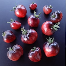 Sgt Peppers Domates Tohumu 15 Tohum