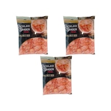 Dragon Pearl Pembe Zencefil Turşusu 1500 gr 3 Adet
