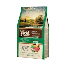 Sam's Field Junior Hypo Allergenic Kuzu Etli Düşük Tahıllı Büyük Irk Yavru Köpek Maması 2500 G