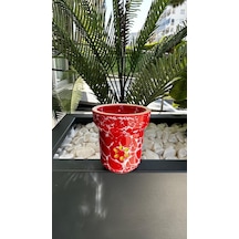 Solaris Eva Red White
