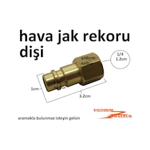 2 Adet Hava Jakı Dişi 1/4 Hava Hortumu Hava Tabancası Bağlama Apa