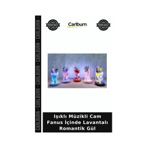 Özel Üretim Hediyelik Dekoratif Işıklı Müzikli Cam Fanus İçinde Lavantalı Romantik Gül