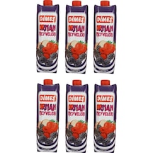 Dimes Orman Meyveli Karışık Meyve Suyu 1 Lt X 6 Adet