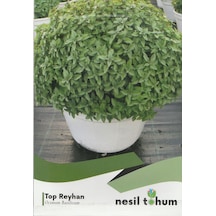 Nesil Top Fesleğen Reyhan Tohumu 100 Adet