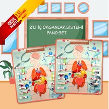2 Set - 52 Parça Tox Iç Organlar Sistemi Keçe Duvar Panoları . Eğ
