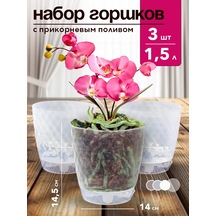 Tiko Home Tabaklı Şeffaf Çiçek Saksısı Seti 1,5 L 3 Ad 349786787
