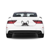 Köpek Araba Stickerı Vinil Sticker
