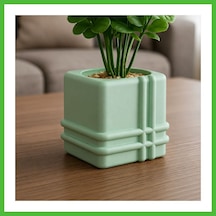 Square