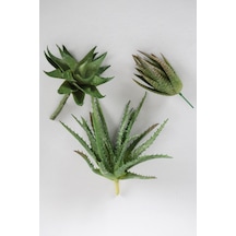 Yapay Succulent Sukulent Set - 26