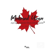 Aşk Gibi Aydınlık Ölüm Gibi Karanlık / Mehmed Uzun N11.2834