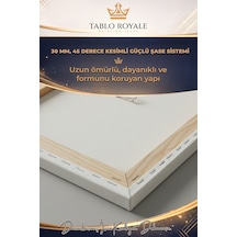 Çok Renkli