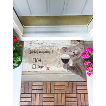 Sarhoş Musun Kapı Önü Paspası Dekoratif Kapı Paspası Dış Mekan Paspas Ev Içi Paspası 45x70cm Çok Renkli
