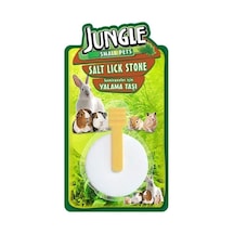 Jungle Kemirgen Yalama Taşı Çok Renkli