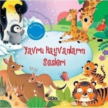 Yavru Hayvanların Sesleri - Resimli Ve Sesli Eğitim Seti
