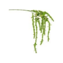 Yapay Gypso Sarkan Yeşil 105 Cm. Çok Renkli