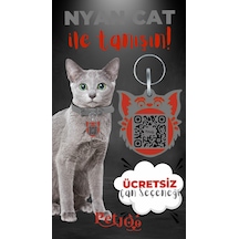 Petjoo 2.Nyan Cat Kırmızı-Gri Qr'lı Kedi Künyesi