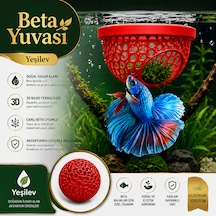 Beta Balığı Kırmızı Betta Dinlenme Alanı & Üretim Yuvası