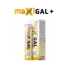 Maxigal Takviye Edici Gıda