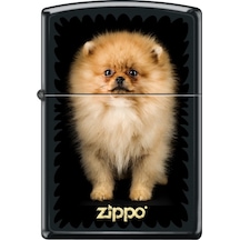Zippo Çakmak Z-Cı401748-218