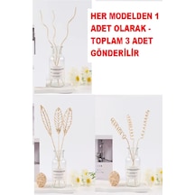 3 Tek Adet 3 Model Aromaterapi Koku Dağıtıcı Rattan Şişe Ahşap Difüzör Çubuk Spiral-yaprak-dalgalı 3 Tek Adet 3 Model Aromaterapi Koku Dağıtıcı Rattan Şişe Ahşap Difüzör Çubuk Spiral-yaprak-dalgalı