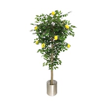 Yapay Limon Ağacı 180Cm Doğal Görünümlü Yapay Ağaç