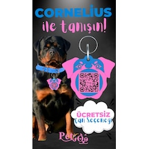 Petjoo 20.Cornelius Pembe-Mavi Qr'lı Köpek Künyesi