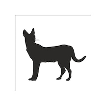 Vaşak Folyo Sticker 50cm Uzunluk Siyah