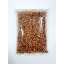 50 Gr Gammarus - B0g48mrklk