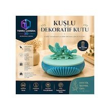 Çok Renkli