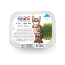 Ans Kedi Çimi