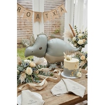 Gri Mat Triceratops Retro Dinozor Folyo Balon 69x40 Cm Dinozor Temalı Çocuk Doğum Günü Parti Süsü Çok Renkli