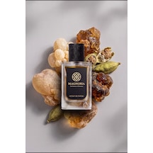 Decısıon 50 Ml Erkek Parfüm Oryantal